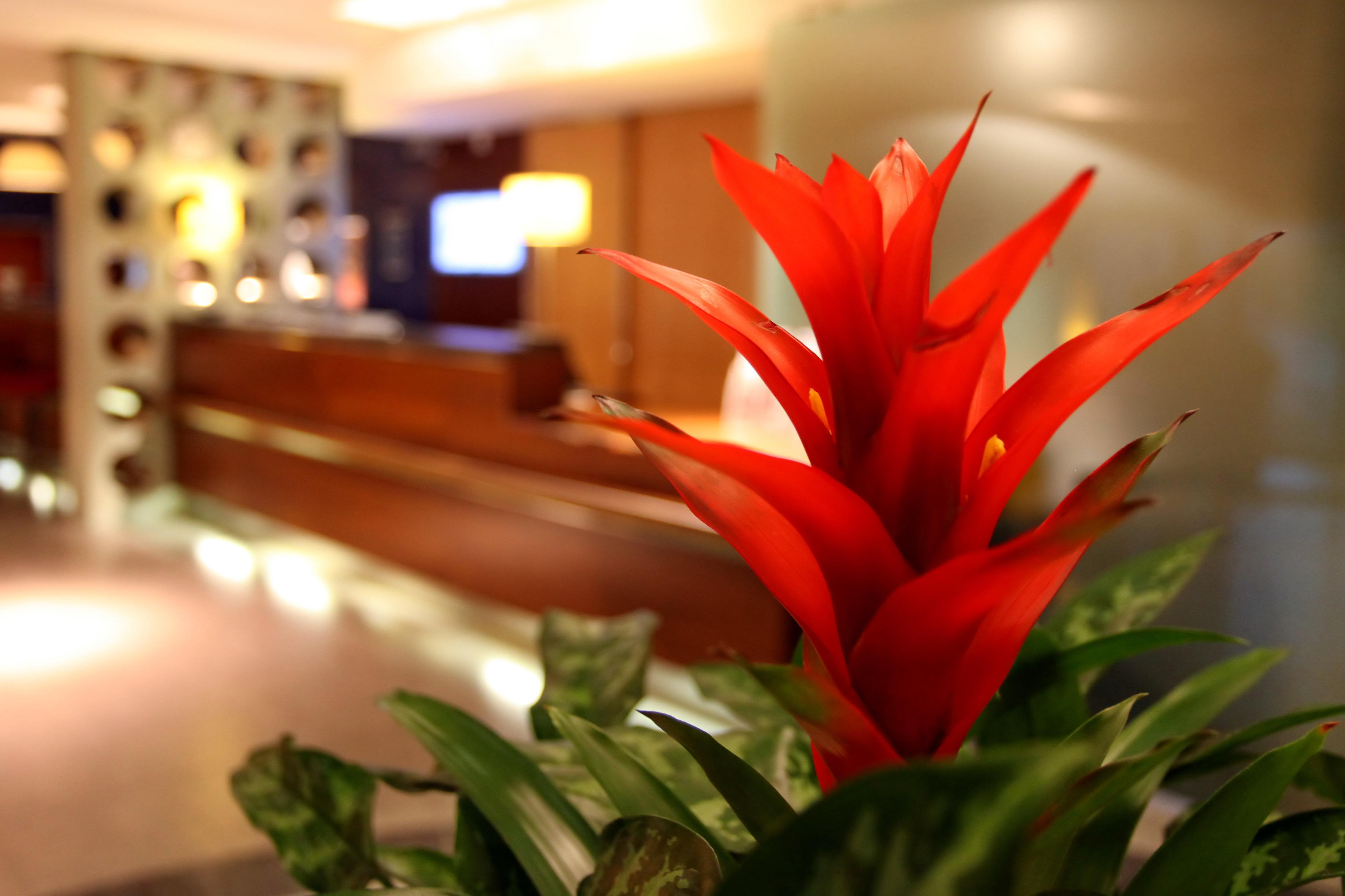 Holiday Inn Express Southampton - M27, J7 By Ihg Εξωτερικό φωτογραφία